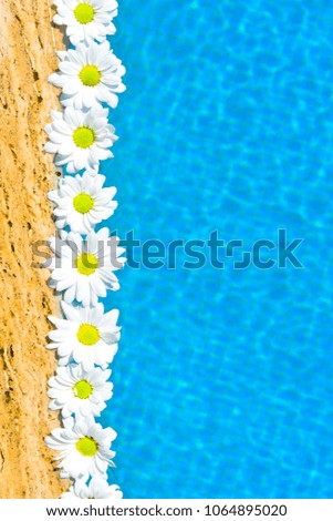 Flowers in Pool Close-up