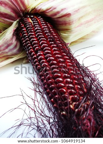 Pods and seeds of purple corn. Purple corn of Thai farmers