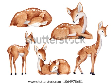 cute watercolor little deer baby watercolor bembi cartoon baby nursery  Deer set baby animal set clip art