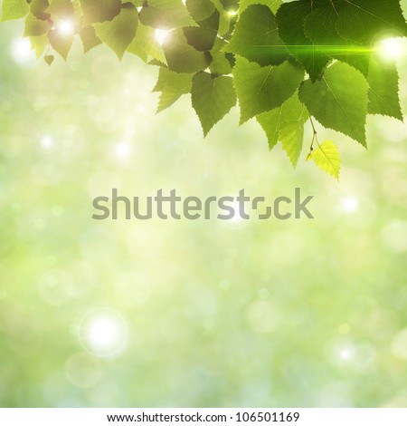 Sunlight through foliage, abstract natural backgrounds Royalty-Free Stock Photo #106501169