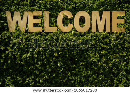 Welcome. Inscription ''welcome'' on a natural green background