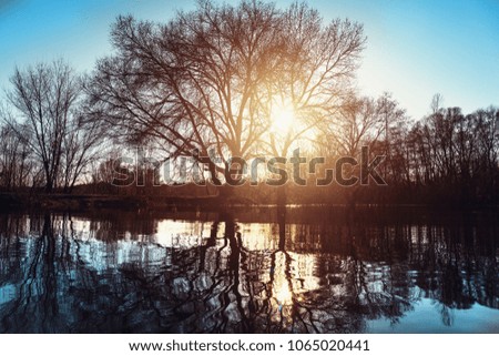 Reflection of trees without leaves on branches in spring high water in river at sunset time, amazing mystic springtime landscape, toned