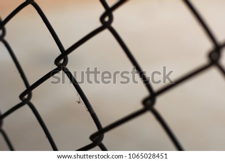 De focused Metal net rust. Abstract background, chain-link fencing. Rusty chain link / wire mesh fence /wire fence texture background/Mesh steel panel.