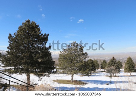 A cemetery overlooking Bountiful Utah in the spring with snow, pine trees, bushes, and mountains in the distance