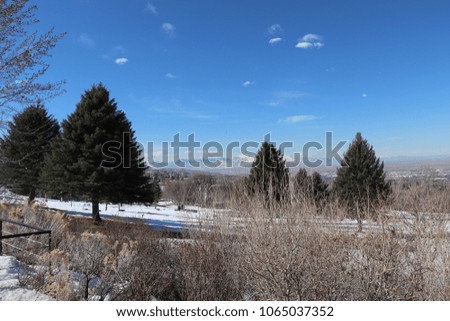 A cemetery above Bountiful Utah in March, with snow, pine trees, sagebrush, leafless trees and bushes, blue sky and the Oquirrh mountains in the background