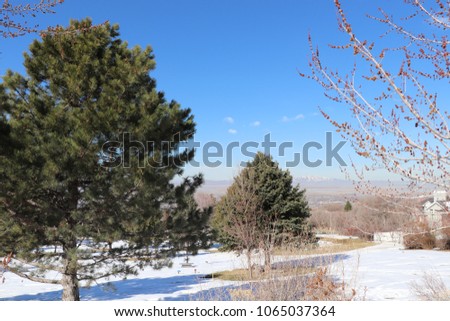 A cemetery in the Bountiful Hills in Utah, with pine trees, budding trees, blue sky and snow covered mountains and in the background
