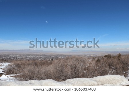 Scrub oak and dried bushes in the hills above Bountiful Utah, with snow, blue skies, and mountains in the background
