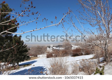 Budding trees, pine trees, bushes, snow, shrubs, houses, with Farmington bay, mountains and clouds in the distance.