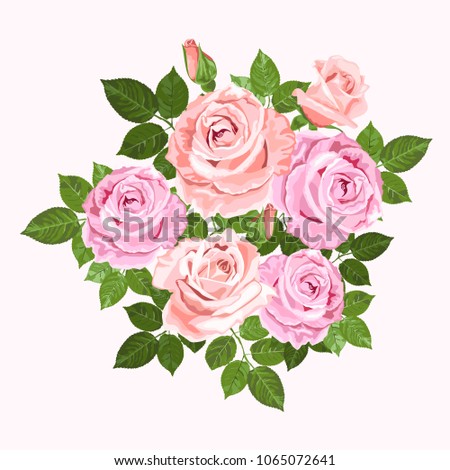 Pink and beige vector roses and green leaves wreath isolated on the white background for floral decoration