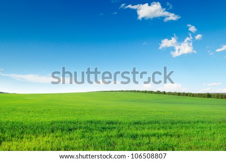 picturesque green field and blue sky