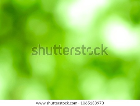 Sunny abstract green nature background, blur bokeh nature summer selective focus