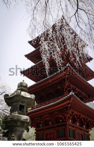 Pics took in a famous place in Japan. Temple and trees in middle of a wild nature, far away from cities. Wonderful red Pagoda in spring period. 