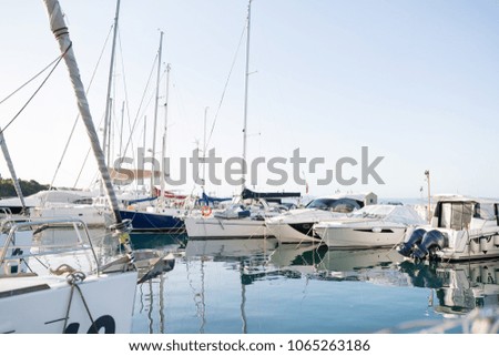 Picture of luxury white yachts in harbor