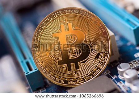 Golden Bitcoin Coin. Business concept of bitcoin cryptocurrency