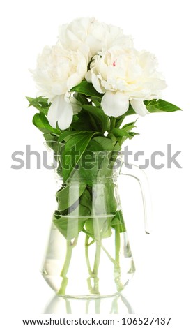 beautiful white peonies in glass jar with bow isolated on white