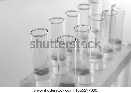 Test tubes in stand on light background, closeup
