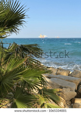 sea ??landscape, in the foreground of a branch of a palm tree, in the distance the sea and the ship