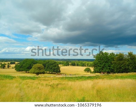 Windsor Great Park (England); low clouds over endless forests and vast fields; group of people on a picnic