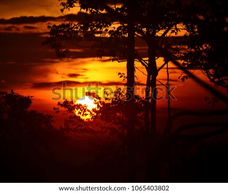 sunrise on top of Jerai Hill, silhouette of trees and clouds. images may contain noise, grain and sun flare or glare.
