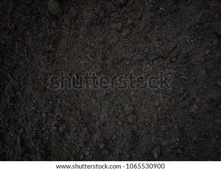Soil texture background Royalty-Free Stock Photo #1065530900
