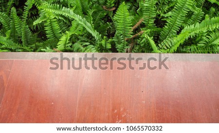 wood and Green leaf background
