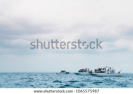 Tourist boats in ocean on cloudy day waiting for whale watching, Naha, Okinawa