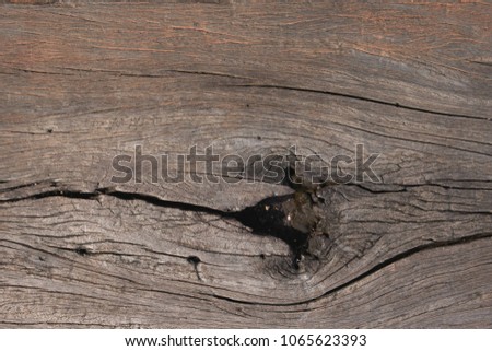 old wooden textured background