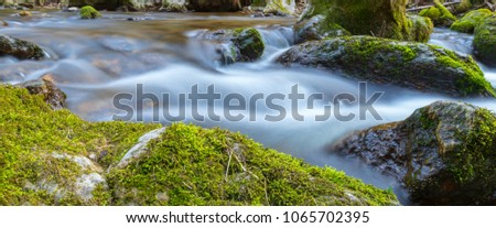 panorama River with water and rocks - moss on stone in Water