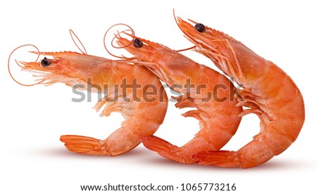 Ð¡ooked tiger shrimps isolated on white background. Clipping Path. Full depth of field.