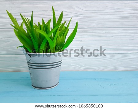 green grass in a flowerpot on a wooden background