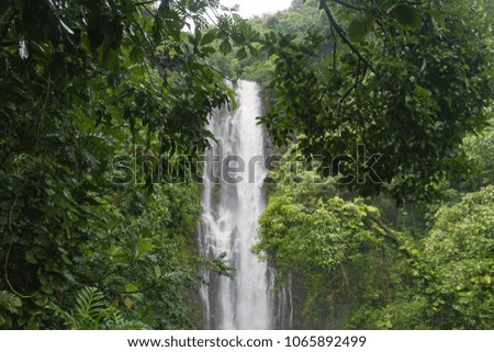 Breathtaking Waterfall in the Rainforest of Maui