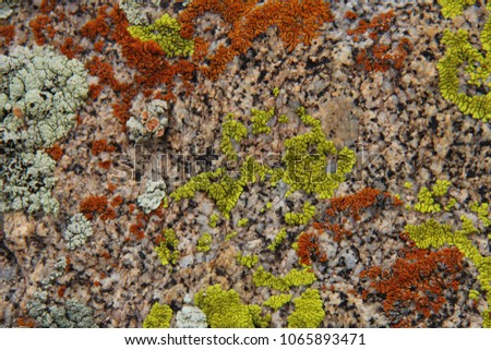 granite moss marble