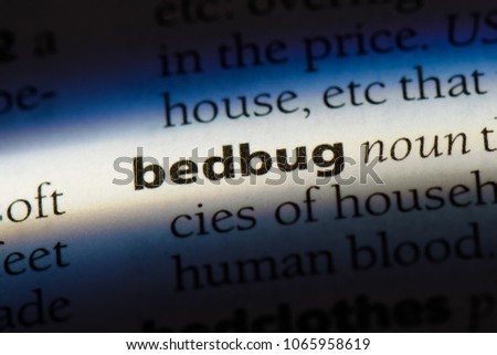 bedbug word in a dictionary. bedbug concept.