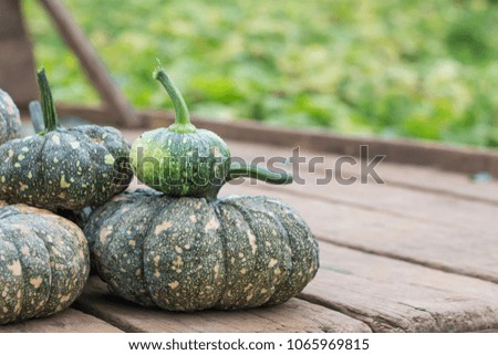 Pumpkin  from the garden for sale