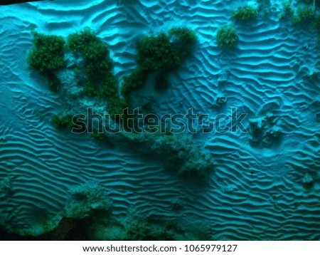 Sea bottom at night with blue light. Funny sand waves and forms underwater