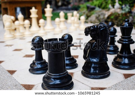 Close up of Chess Board and chess pieces in a garden