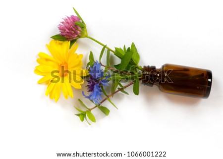 bottle with calendula, mint, clover and carnation over white background - alternative medicine concept