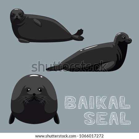 Baikal Seal Cartoon Vector Illustration