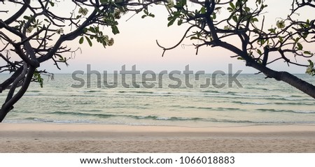 Evening sunset pastel seaview background, soft wave and white sandy beach through beautiful silhouette Plumeria or Frangipani flower tree arch copy space, Hua Hin, Thailand