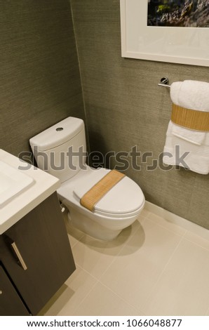 Nicely decorated modern washroom, bathroom, with the toilet sit, sink. Interior design.