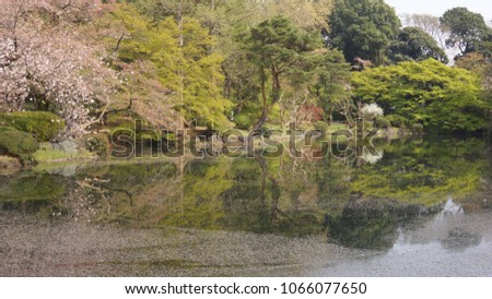 Pool with reflection picture of Japanese garden in spring at Shinjuku Gyoen national park.
