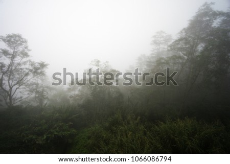 Morning view in Kundasang Sabah with fast moving fogs in Kinabalu National Park, Sabah Borneo, Malaysia.