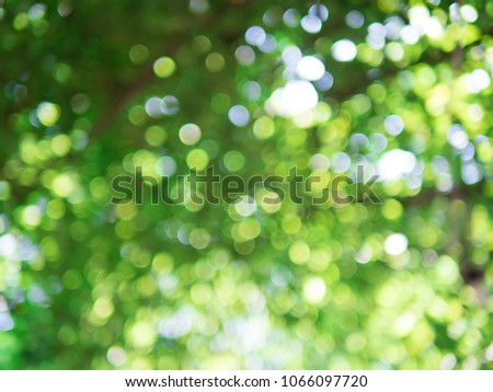 Abstract bokeh nature light leaf so beautiful.be suitable for website, postcard ,background.