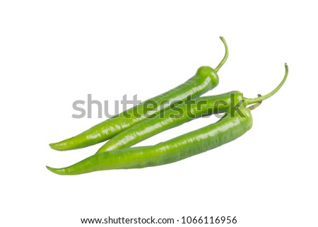 Fresh green chilies which is the one among the best vegetable to bring spicy taste to the food. 