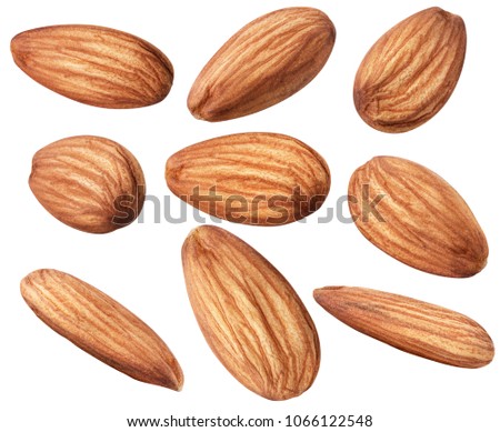 Nuts collection. Raw almond isolated on white background with clipping path