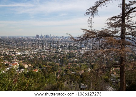 Downtown LA Distant view