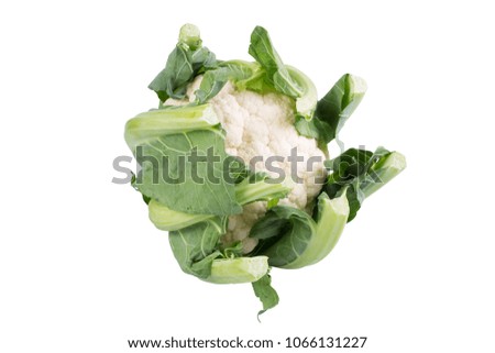 Fresh cauliflower and cabbage with fresh small green leafs and help foods reach their true flavor potential.