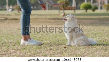 Woman train on her dog at park