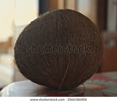 Whole coconut standing on table, close up