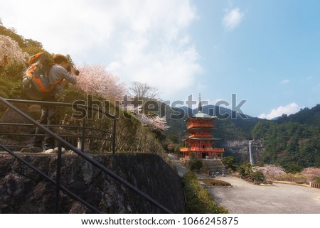Backpacker taking photo of Nachi Taisha in Kumano Kodo pilgrimage routes, the tallest water fall in Japan with three strolley pagoda in sakura or cherry blossom season